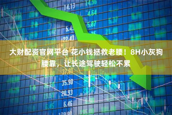 大财配资官网平台 花小钱拯救老腰！8H小灰狗腰靠，让长途驾驶轻松不累