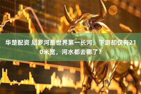 华楚配资 尼罗河是世界第一长河，下游却仅有210米宽，河水都去哪了？